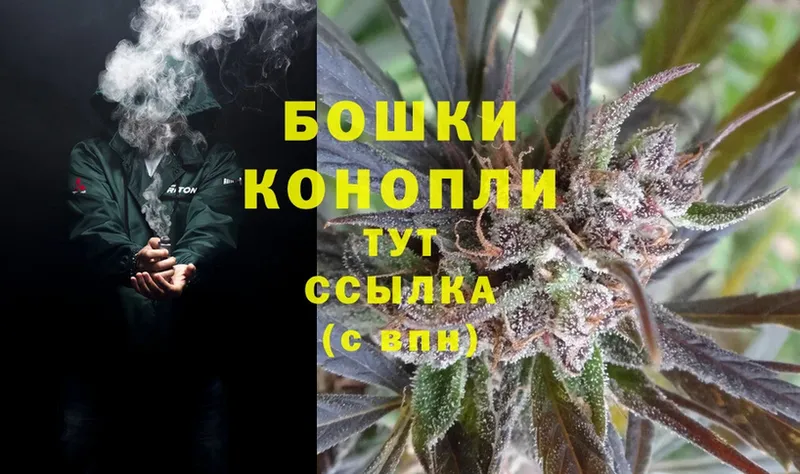 Бошки марихуана LSD WEED  как найти   сайты даркнета как зайти  Балей 